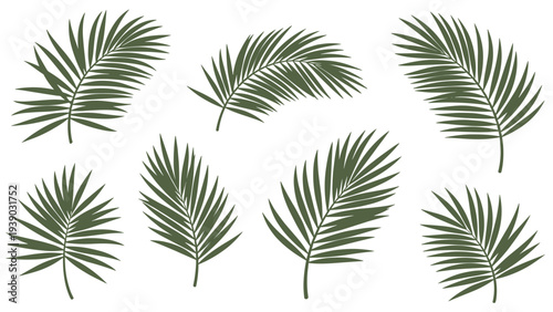 Diverse collection of green palm leaves in various poses and angles, offering versatile botanical elements for tropical, summer, and vacation-themed designs.