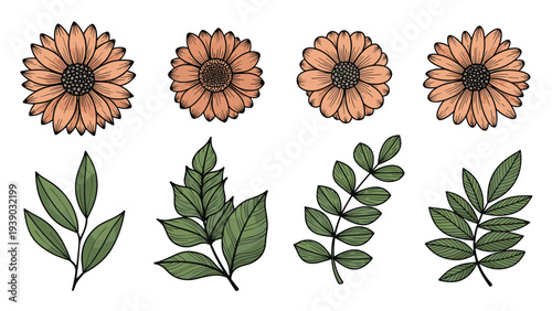 Charming collection of hand-drawn sunflowers with warm orange petals and intricate centers, paired with various green leaves, ideal for natural botanical designs.