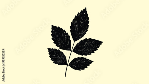 Elegant single black silhouette of a leafy branch with serrated edges, offering a versatile minimalist botanical element for clean and natural designs.