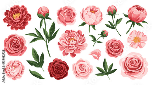 Exquisite collection of detailed pink peony and rose flowers in various stages of bloom, accompanied by green leaves, perfect for elegant floral and botanical illustrations.