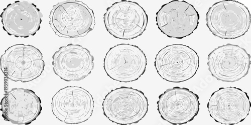 Arrangement of twelve grayscale tree stump cross sections on a white background