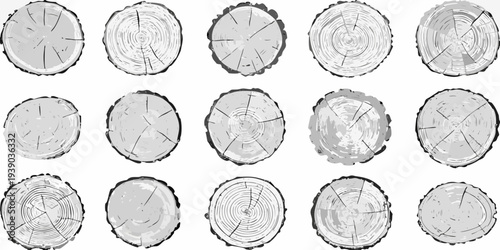 Arrangement of twelve grayscale illustrations depicting cross sections of tree trunks