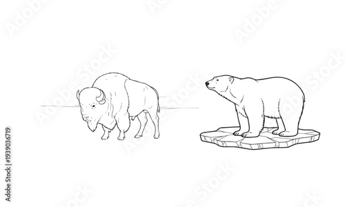 Sketch of two polar bears on ice