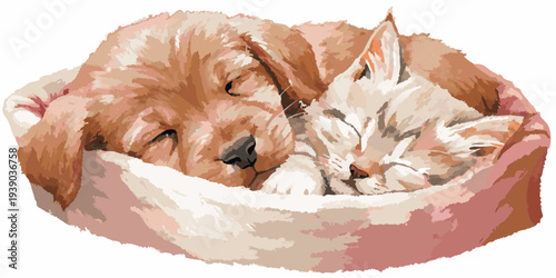 A golden retriever puppy and a kitten peacefully sleeping together