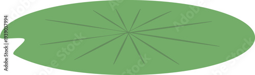 한국 종교 불교 연못 연잎