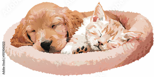 A golden retriever puppy and a tabby cat are peacefully sleeping together