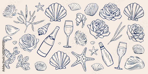 Vintage style illustration featuring seashells champagne and marine life