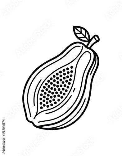 Papaya half line art illustration with seeds and leaf. Fresh tropical fruit outline drawing isolated design element