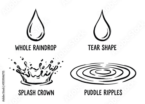 Raindrop types and water ripple effects illustrations: Whole raindrop, tear shape, splash crown, and puddle ripples