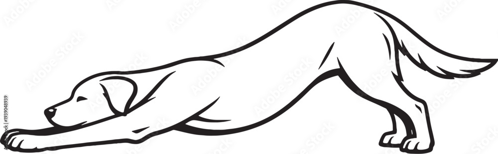 Obraz premium Dog Stretching Forward Full Body Stretch Black and White Line Art Illustration
