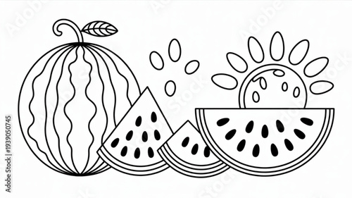 Watermelon slices and whole fruit with sun illustration