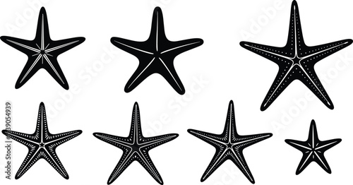 Starfish illustration, marine animal, ocean life, sea creature, aquatic design, black white art, underwater pattern, coastal symbol, beach nature, decorative