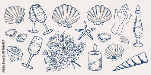 Sketch of seashells champagne glasses roses and decorative elements