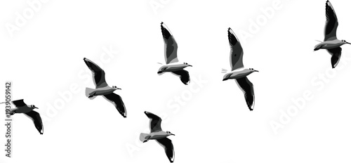 Sustainable modern eco-friendly house with solar panels, green garden, blue sky, renewable energy, architecture, environmental conservation, future lifestyle, sunny day, property.