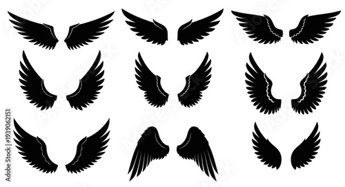 Collection of black angel wings silhouettes isolated on white background.