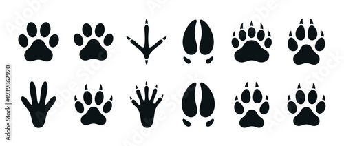 Black silhouette animal tracks collection featuring various paw prints with claws, hoofs, and bird footprints for zoology, veterinary, or wildlife themes