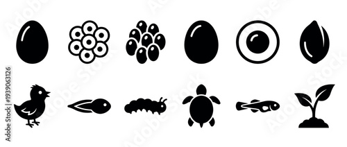 Set of black life cycle icons showing various stages of animal and plant development from egg and seed to hatchling and sprout in a clean, minimalist vector illustration style