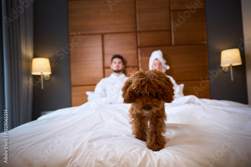 Bild auf Leinwand Young couple relaxing in hotel bedroom with small dog