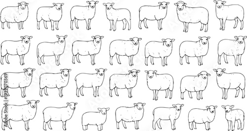Cute Hand Drawn Black and White Outline Sheep Illustrations Collection