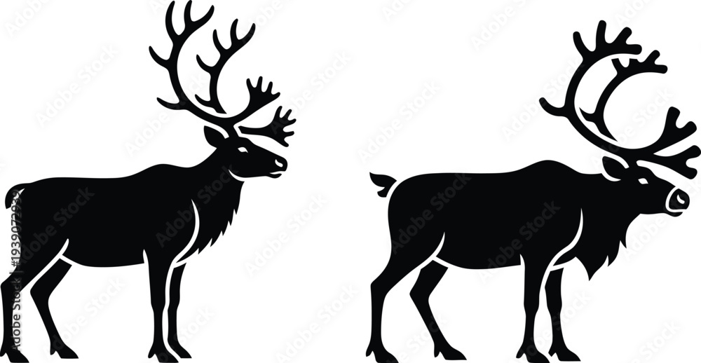 Fototapeta premium Two majestic reindeer silhouettes with impressive antlers on white background