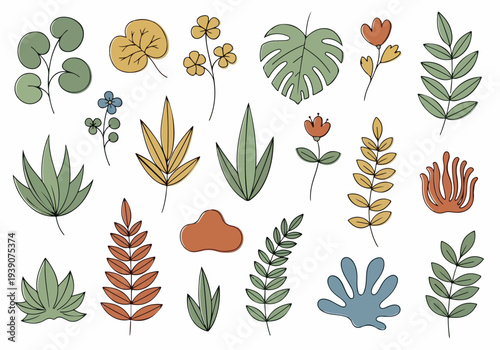 Collection of various colorful leaves and flowers arranged in a visually appealing pattern on a clean background