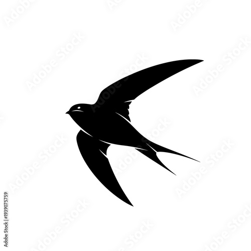 Elegant black silhouette of a swift bird in full flight against white background.