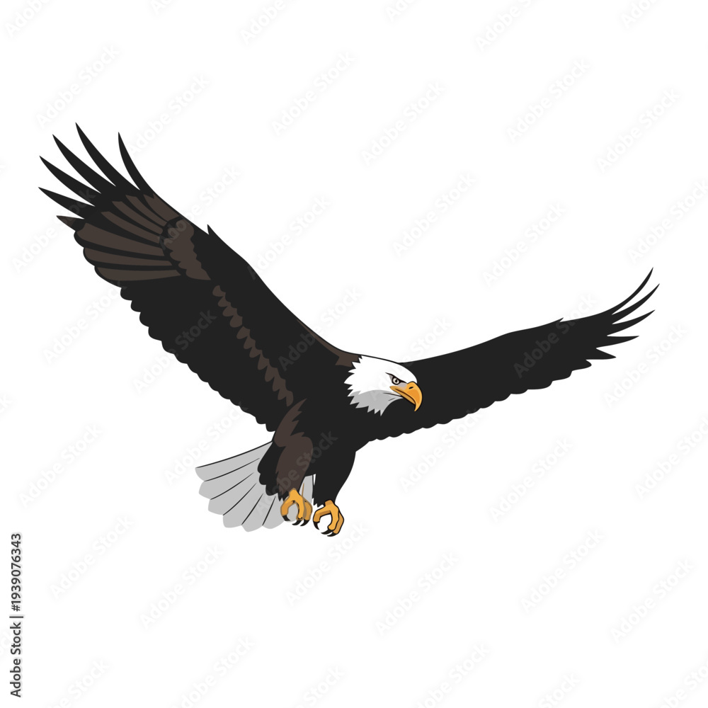 Obraz premium Majestic bald eagle soaring with outstretched wings against a white background.