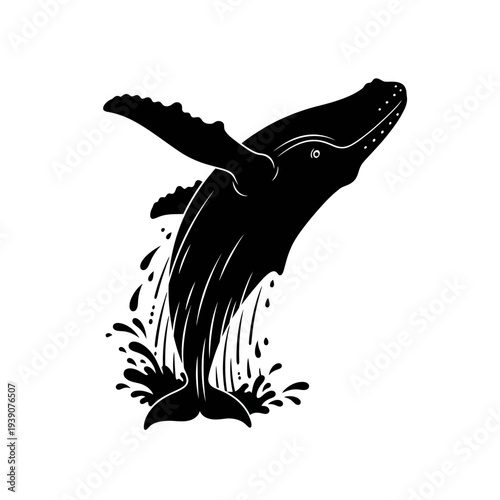 Black and white illustration of a humpback whale breaching the water surface.