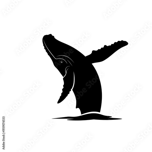 Silhouette of a humpback whale breaching the surface of the ocean water.