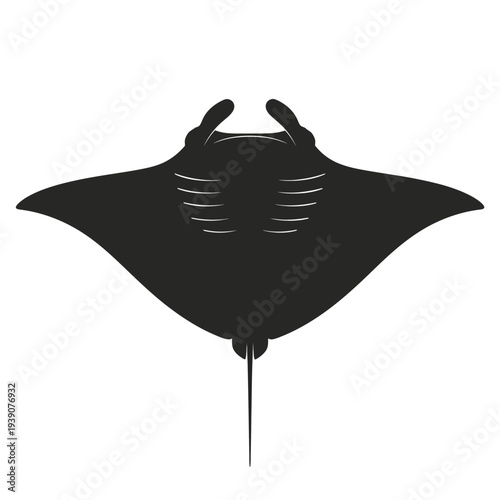 Silhouette of a majestic manta ray gracefully gliding through the ocean depths.