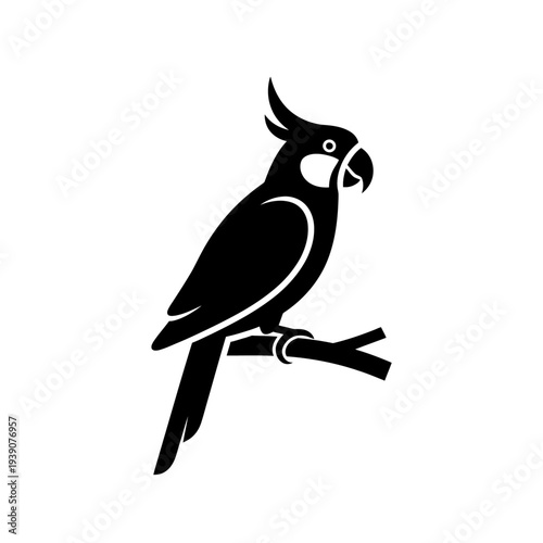 Black and white vector illustration of a cockatiel bird perched on a branch.