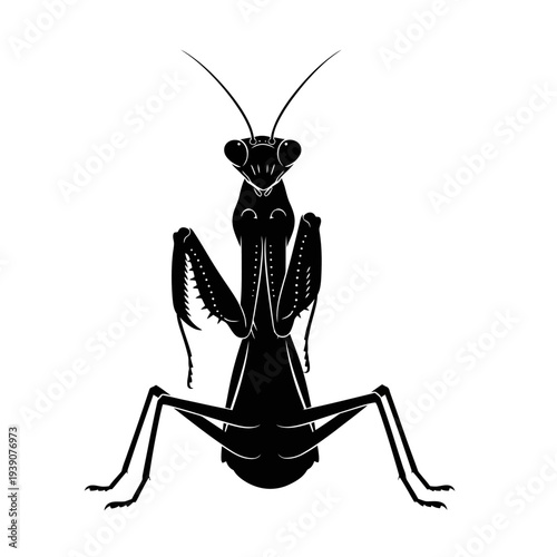 Black and white illustration of a praying mantis insect on white background.