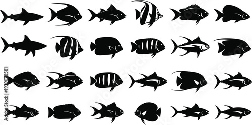 Large collection of black fish silhouettes including sharks tropical reef fish and tuna species isolated on white background vector illustration