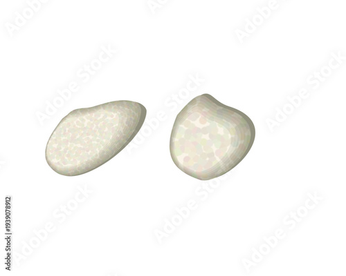 Smooth White Pebble Stones Isolated On Transparent Background Natural Zen Rocks PNG