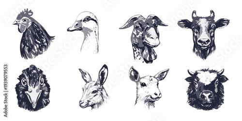 Illustrative collection of farm animal head portraits in grayscale tones
