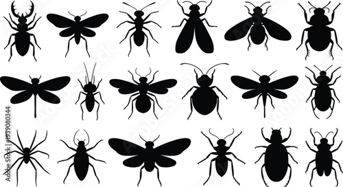 Set of insect silhouettes featuring beetle butterfly spider fly bee dragonfly and ant icons for nature wildlife biology and entomology