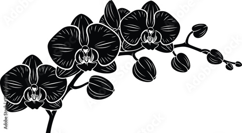 Set of Modern and Vintage Sedan Car Vector Illustrations Featuring Side and Rear Perspective Views in Minimalist Black Line Art Style