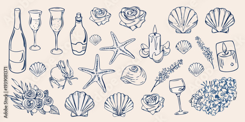 Vintage style hand drawn illustration featuring champagne shells and floral elements