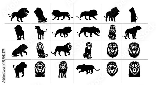 Collection of black lion silhouettes and headshots on white background various poses and expressions