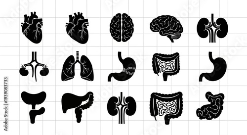 Human organ icons set heart brain lungs liver stomach intestines kidneys and more on grid background
