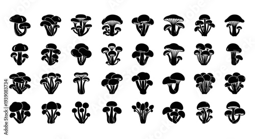 Collection of various black mushroom icons on white background for design and decoration purposes