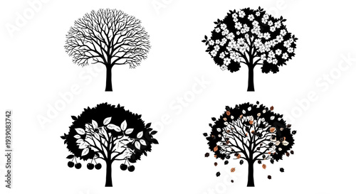 Four trees in different seasons with changing leaves and fruits on white background symbolizing growth and nature