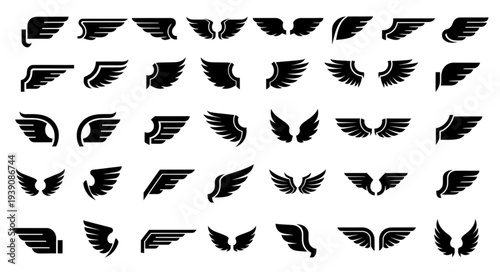 Collection of various black silhouette bird and angel wings in different shapes.