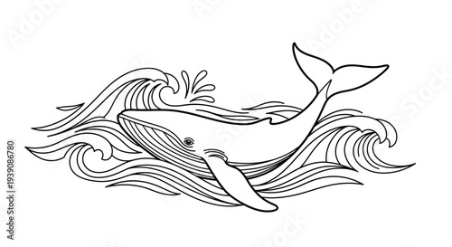 Black and White Whale Illustration Artwork.