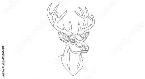 Deer Head with Antlers Line Drawing 1.