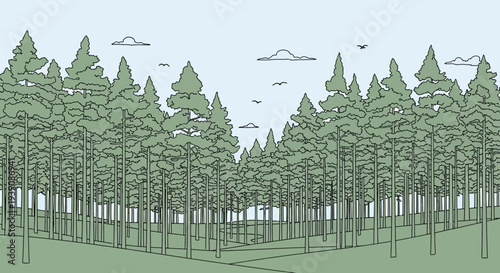 Dense Forest with Tall Green Trees.