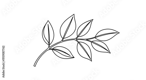 Simple Black and White Leaf Illustration.