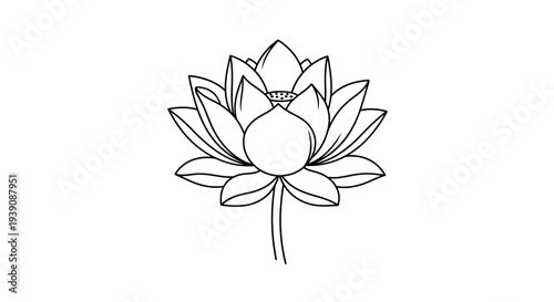 Simple Line Drawing of a Lotus Flower 1.