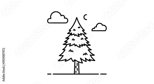 Simple Line Drawing of a Pine Tree.