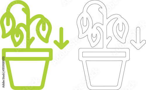 Wilted plant in pot with downward arrow drooping leaves